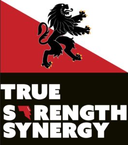 True Strength Synergy Logo